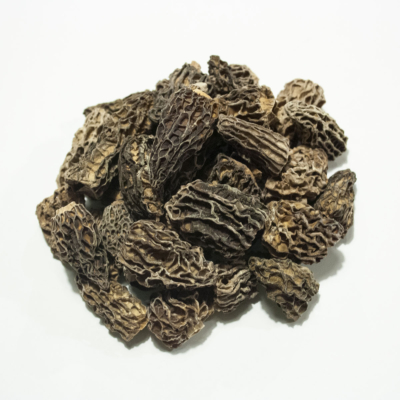 Morille de Patagonie certifiée BIO