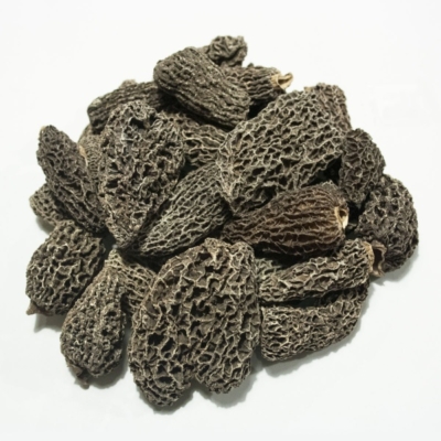 13-morilles-grises-brulis-jb-morilles