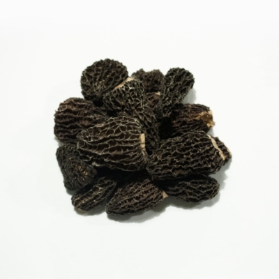 14-morilles-pieds-noirs-jb-morilles