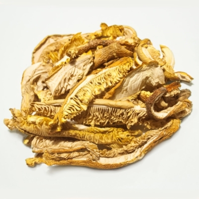 19-amanite-cesars-jb-morilles