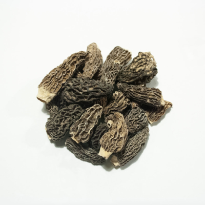 Morille délice des dieux